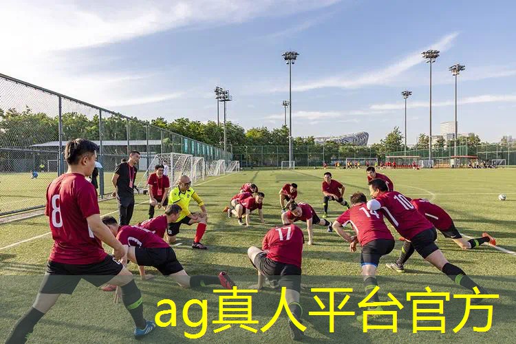 AG真人：王者原画对比别的游戏