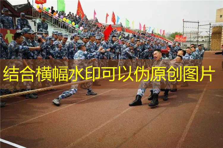 ag真人官方网：3d打印乌鸦仔游戏