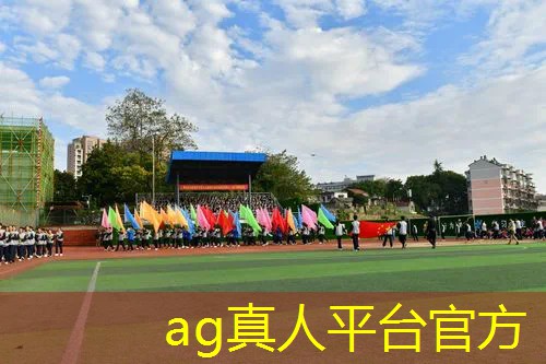 AG真人国际官网：3d电子游戏统称