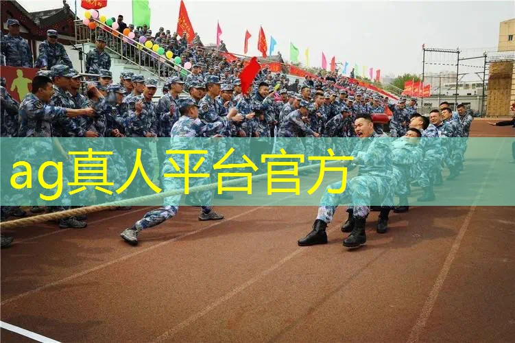 ag真人平台官方：游戏原画被替代的原因