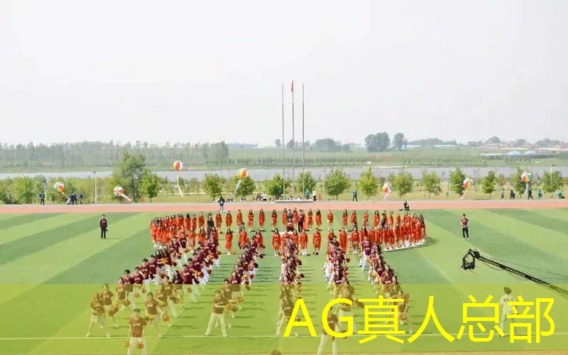 AG真人国际官网：法国炮台3d模拟游戏