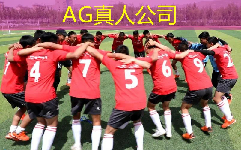ag真人官方网：走出3d迷宫游戏介绍大全