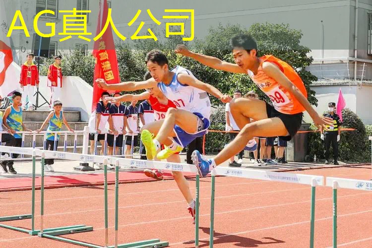 ag真人官方网：游戏原画质是什么意思