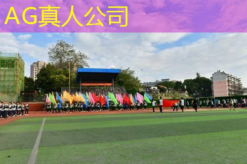 ag真人集团：游戏原画立绘教学设计