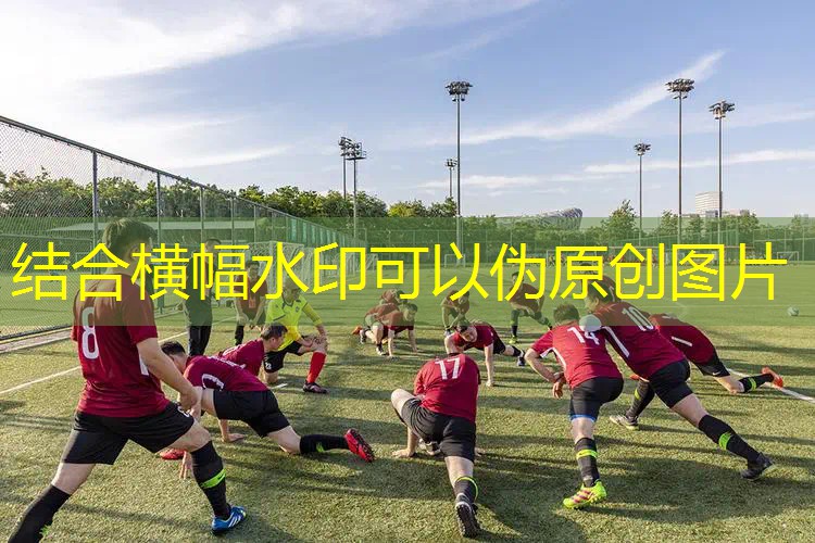 单机游戏图像需要的程序