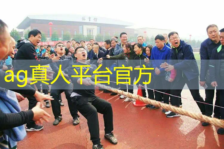 Ag平台官方网站：伽罗原画建模有多少款游戏
