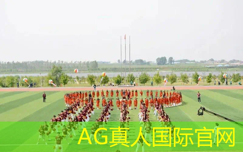 蜜蜂3d版蚂蚁3d版游戏
