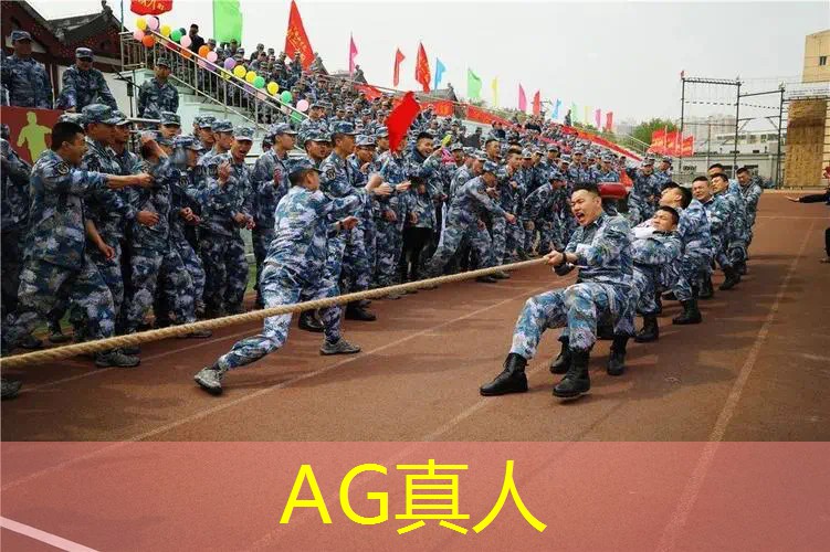 3d战车之王游戏攻略大全