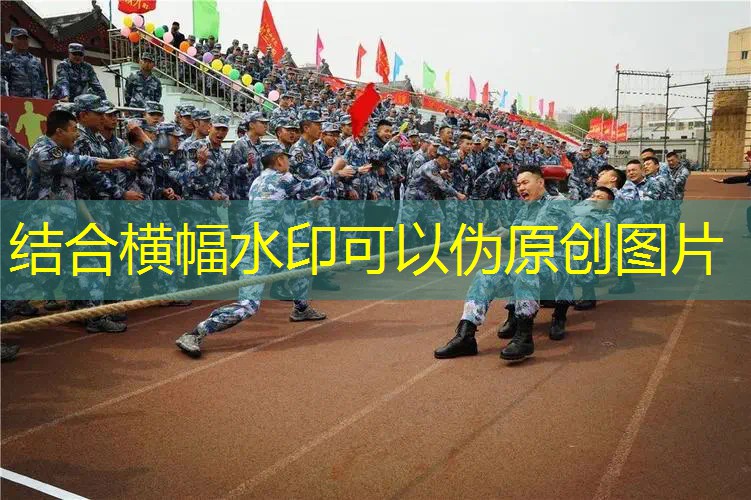 游戏怎么原画录制出来的