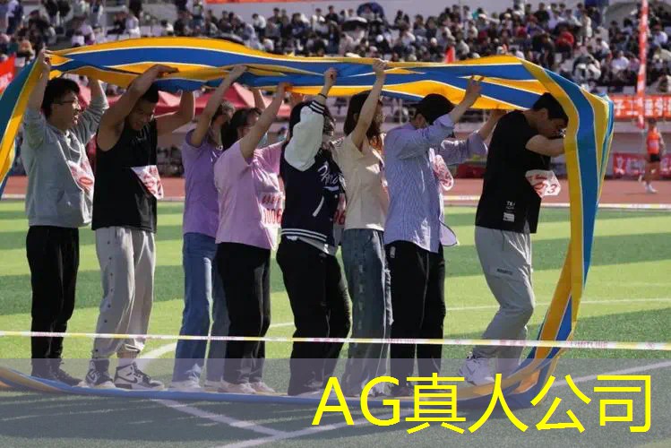 3D单机游戏公司
