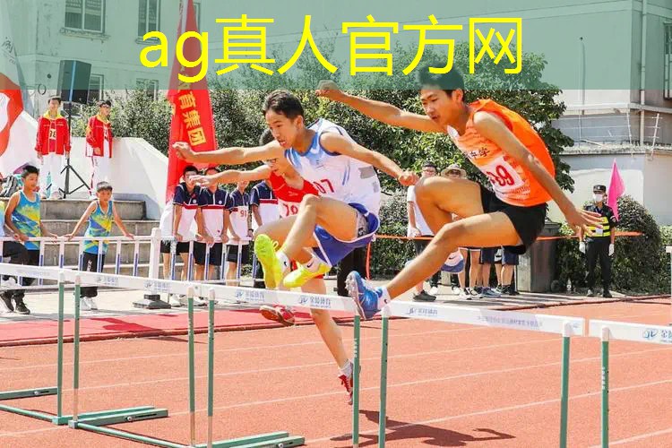 游戏原画质是什么意思