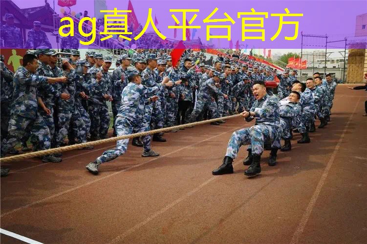 3d战车之王游戏攻略大全