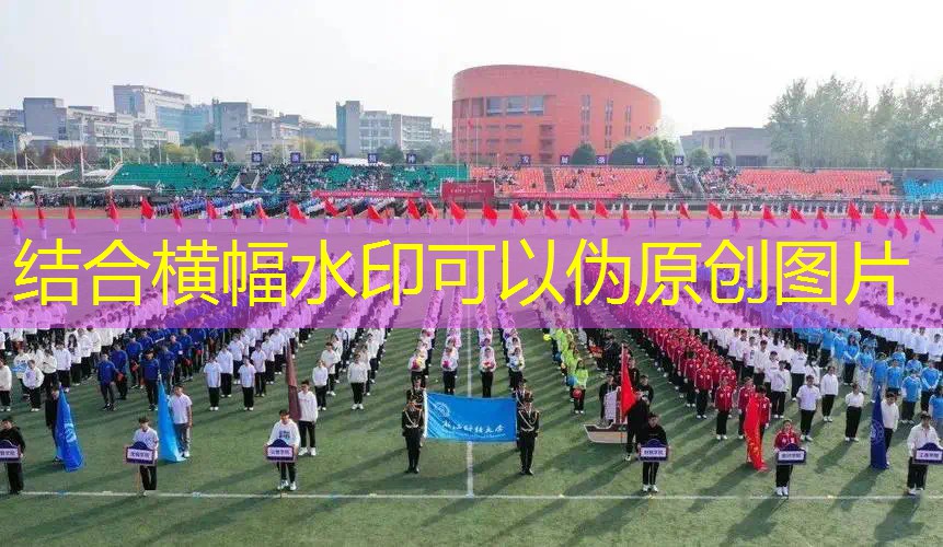 游戏对局3d平面视角