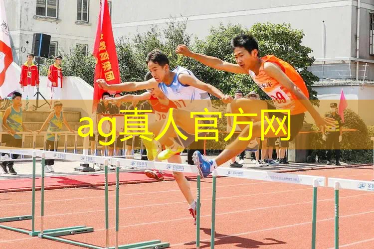 ag真人官方网：杭州定制化游戏原画设计制作案例