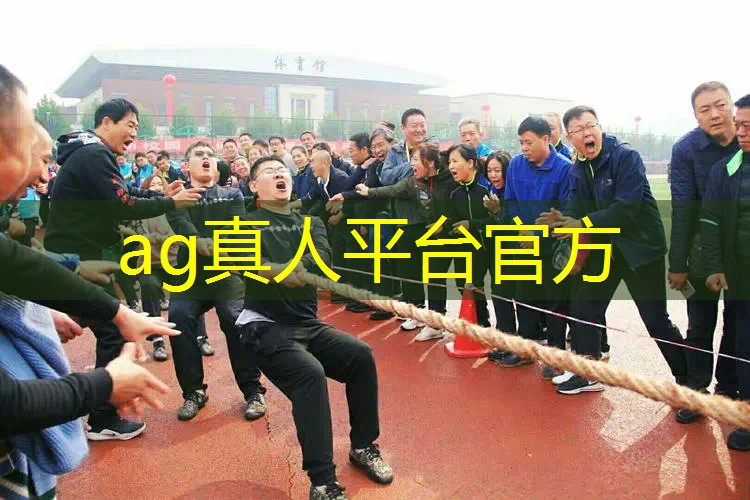 AG真人国际官网：一品锅游戏原画