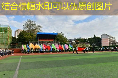 AG真人：技术达人！集团公司青年电竞大赛选手个人能力解密！