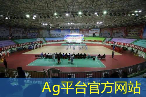 Ag平台官方网站：春节品牌游戏策划方案