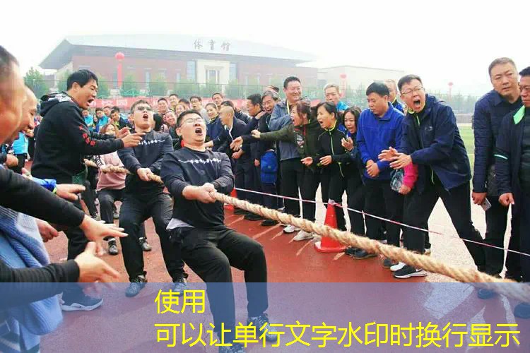 ag真人平台官方：微信小程序游戏百炼英雄阵型推荐