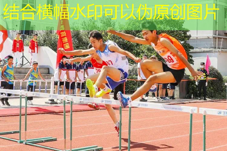 ag真人官方网：游戏程序排版怎么做好看