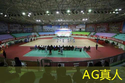 ag真人平台官方：玩的游戏老是程序出问题删不掉