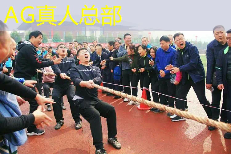 AG真人国际官网：吊杆竞技场3D游戏中文版