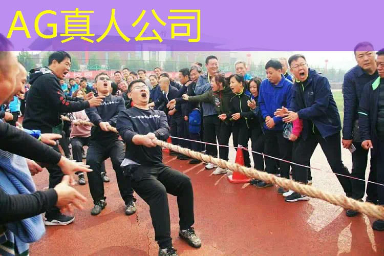 AG真人：做3d游戏程序需要了解
