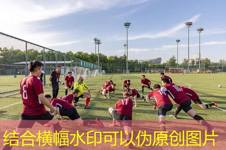 AG总部：蓝锁原画是什么类型游戏