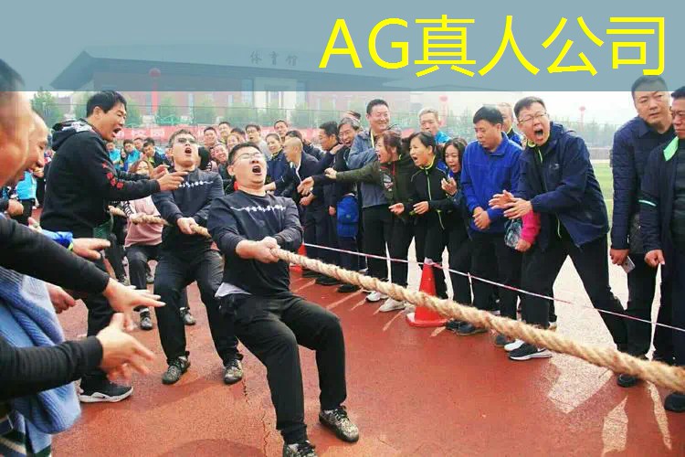 ag真人官方网：怎样挂小程序有收益的游戏