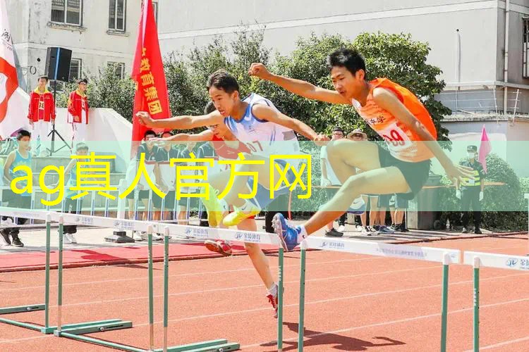 AG总部：ui游戏设计案例分享ppt