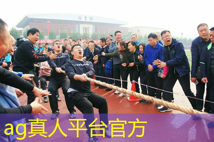 Ag平台官方网站：3d数字游戏计算机怎么玩