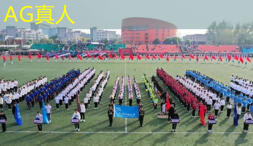 AG真人国际官网：华强北3d游戏机