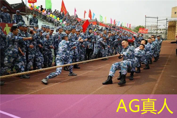 AG真人：3d版的英语游戏叫什么