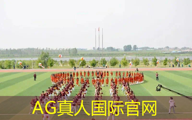 AG真人：游戏角色原画定制软件