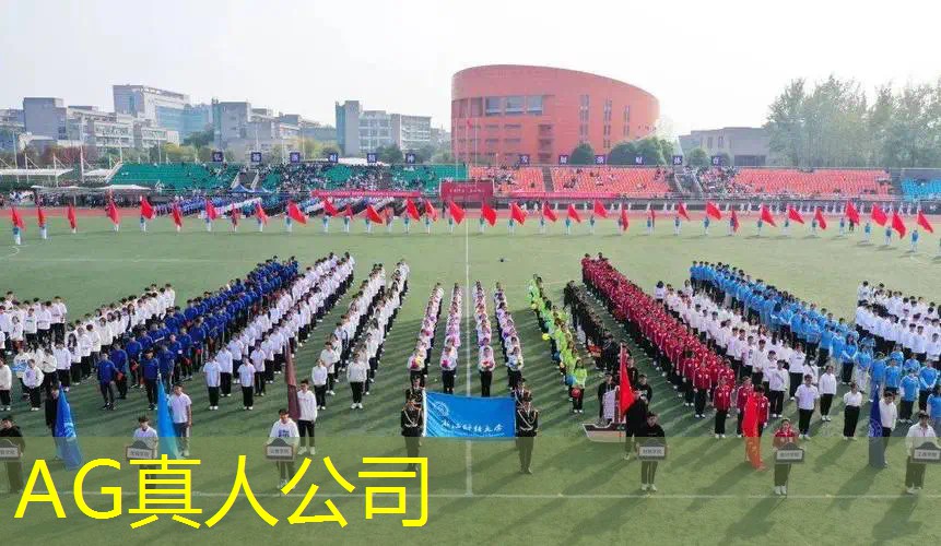 ag真人平台官方：无脸御姐3d游戏攻略大全