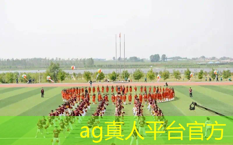 课前3d模拟游戏教案设计
