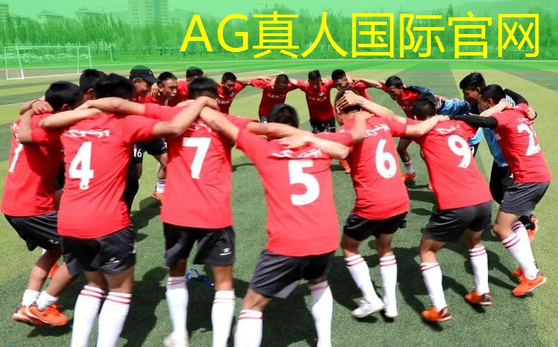 Ag平台官方网站：韩国游戏3D岛