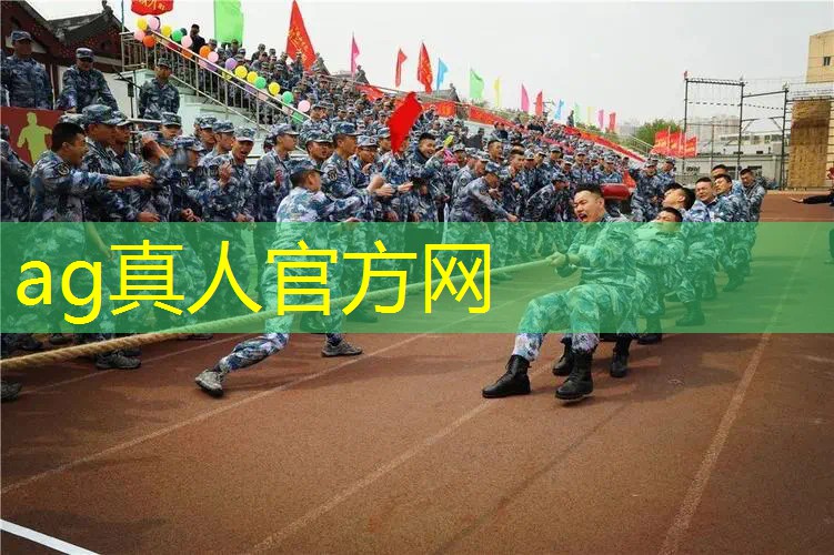 ag真人平台官方：创编游戏小程序教案设计