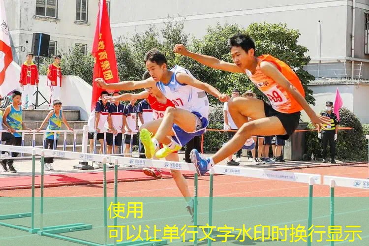 AG真人国际官网：游戏精灵宠物原画