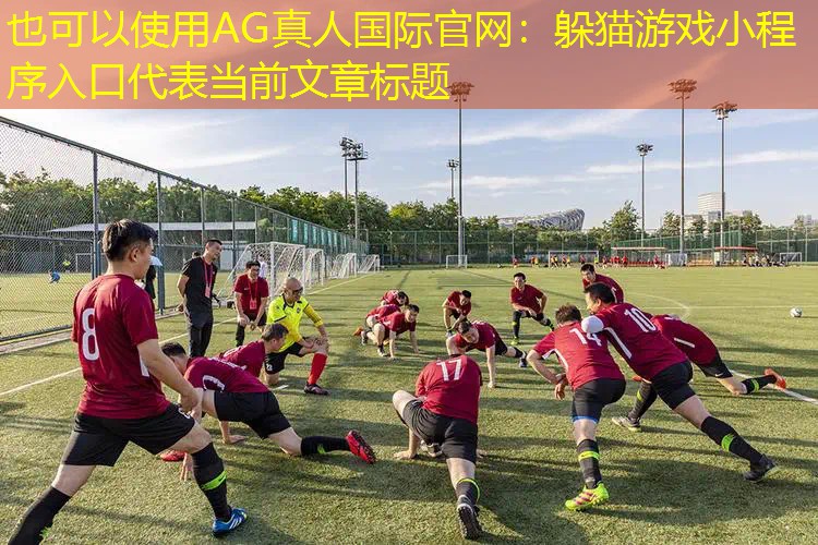 AG真人国际官网：躲猫游戏小程序入口