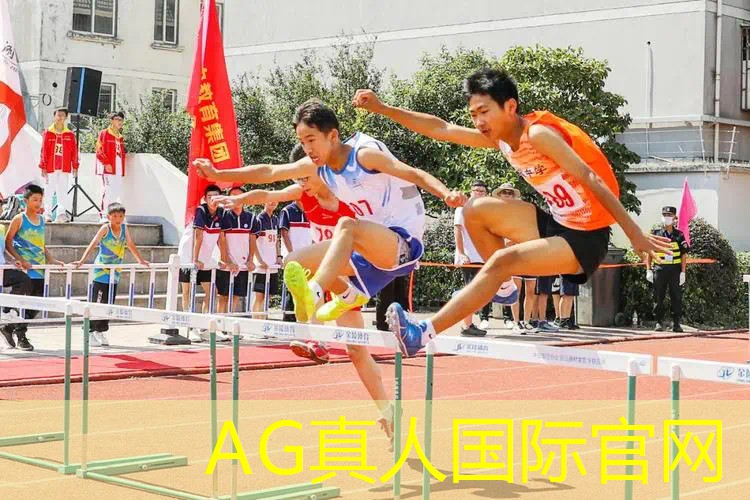 AG总部：3d翻转画面的游戏叫什么