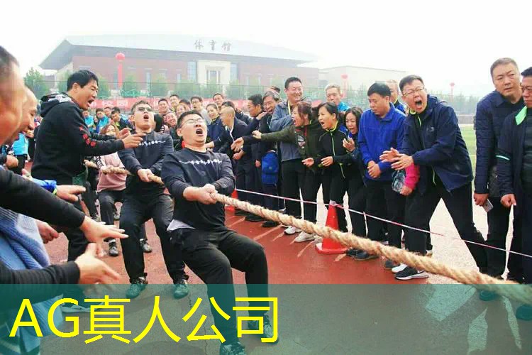 AG总部：以假乱真的3d游戏叫什么