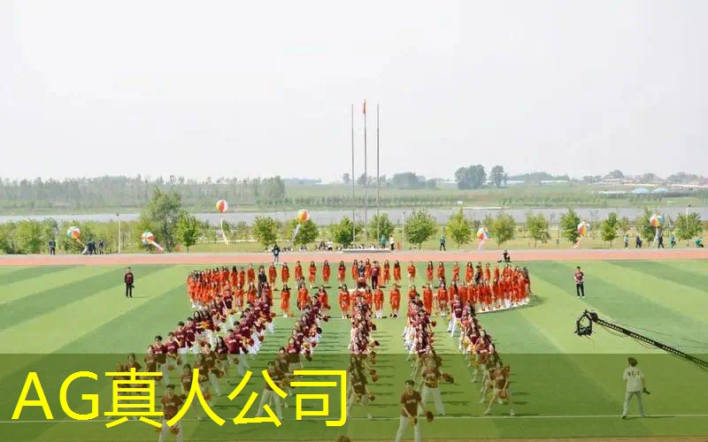 ag真人平台官方：3d滚滚球抖音小游戏怎么玩