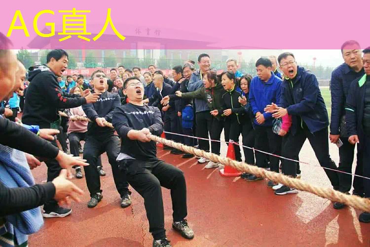 AG真人：直升机游戏都有哪些3d版的