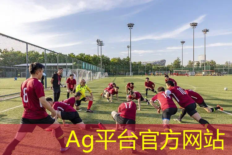 AG真人：3d游戏仙侠pc
