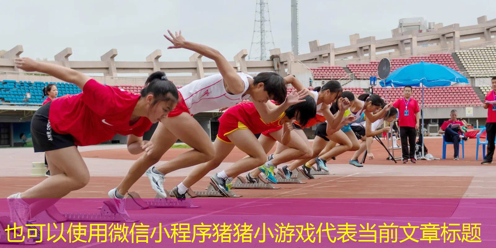 微信小程序猪猪小游戏