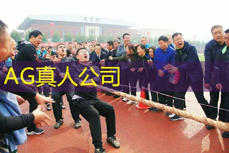 AG真人：3d模拟机场渡滩车游戏