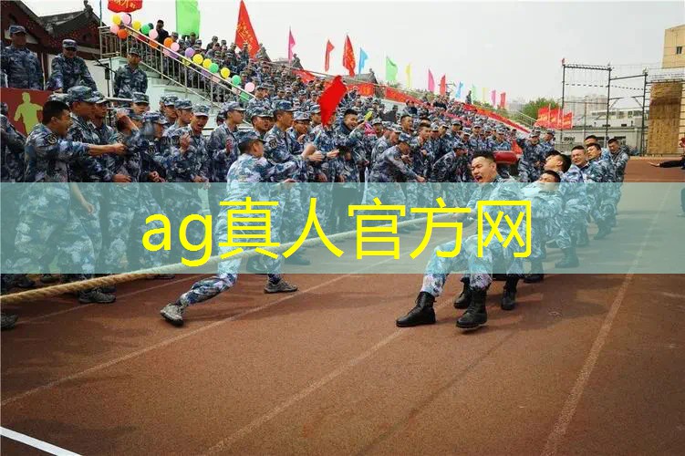 电脑3d大型开车游戏叫什么