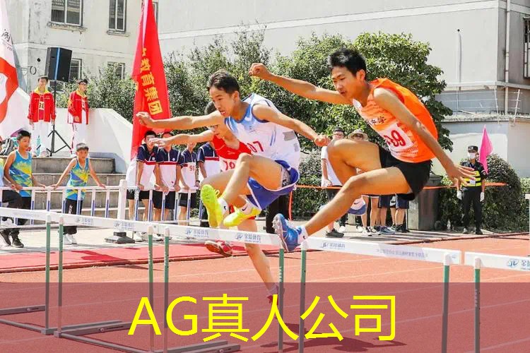 流星许愿的程序是什么游戏