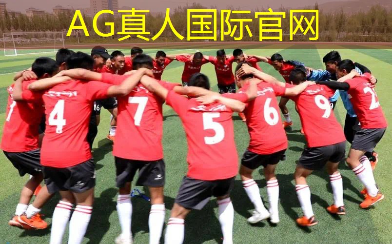 像3d版的生存手游游戏