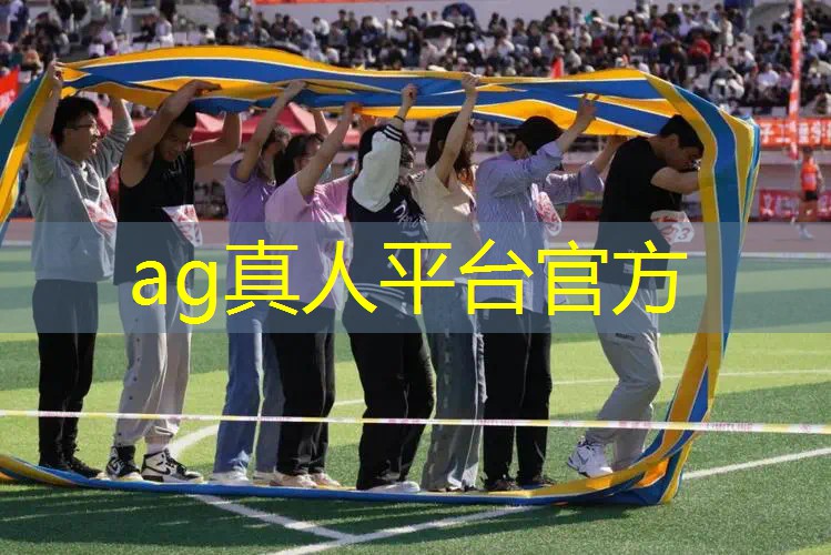 情感游戏程序是什么样的